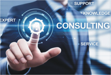 consultant